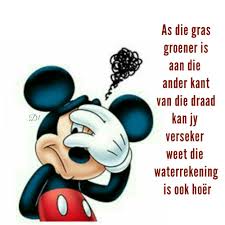As Die Gras Groener Is Aan Die Ander Kant Van Die Draad Kan Jy Verseker Weet Die Waterrekening Is Ook Hoer Wisdom Quotes Funny Mickey Mouse
