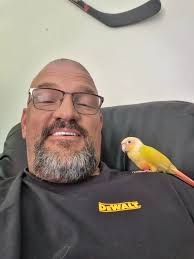 New conure pet introduction