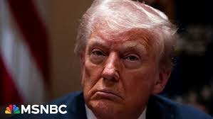 Victoria Mosco's Instagram, Twitter & Facebook