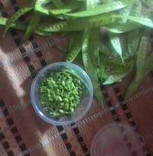 Tanaman lamtoro (petai cina) ternyata memiliki khasiat dan manfaat yang luar biasau untuk kesehatan dan sebagai obat penyembuh berbagai penyakit yang. Petai Terapi Urut Dan Belajar Urut Saraf Professional Akm Facebook