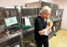 The wisconsin humane society is committed to providing protection, shelter, and care for wild and homeless animals. Tri County Humane Society Say Goodbye To Old Shelter
