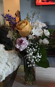 At the renaissance albany, you will be nestled in the heart of the capital of new york state, in the historic dewitt clinton hotel, and at the base of the capital steps. Renaissance Floral Gallery Florists 199 Main St Binghamton Ny Phone Number Yelp