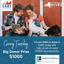 Giving Tuesday 2019 Big Donor Prize Community Foundation Giving Tuesday Can You Help