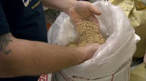 They were advised (take) a packed lunch. Reducing Food Waste By Turning Beer Into Bread