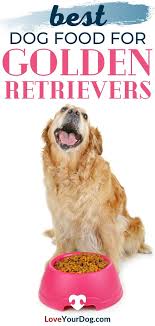Best Dog Foods For Golden Retrievers Puppies Adults Seniors In 2020 Dog Food Recipes Best Dog Food Golden Retriever