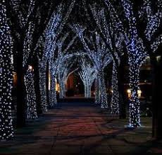All The Tools For Christmas Decorating Solar Fairy Lights Solar Powered Fairy Lights Christmas Lights