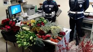 Il 2 settembre 2009 viene reso noto dalla rai che la presentatrice antonella clerici avrebbe condotto la sessantesima edizione del festival di sanremo. 67 Mazzi Di Fiori Sequestrati Multa Da 5000 Euro Al Venditore Abusivo