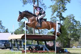 Friday News & Notes from Stable View