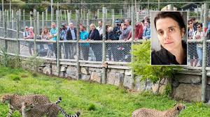 Update information for sylvi listhaug ». Der Zoo In Kristiansand Noahs Anfuhrer Geht Nach Der Unterstutzung Von Dyreparken Nach Listhaug Das Ist Das Tragischste Nach Welt