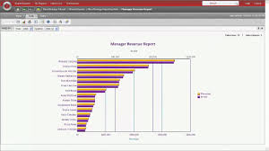 Microstrategy Reporting Suite Graphs And Charts Youtube