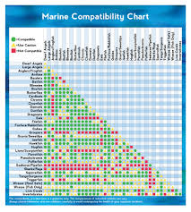 Marine Animal Compatibility Chart Visual Ly
