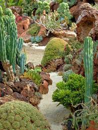 Coral Reef Succulent Garden With Sand Succulent Landscape Design Succulents Succulent Landscaping