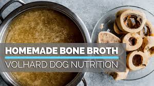 How does bone broth help dogs' digestive health? How To Make Homemade Bone Broth For Your Dog A Simple Way To Make Your Dog Food Healthier Youtube