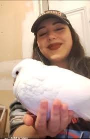 Local birders in Boise area to bird with