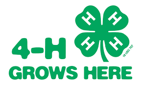 Font 4h Logo 4 H Club 4 H Okaloosa County