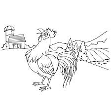 Compared to hens, roosters have larger crowns and tails and are more brightly colored. Cartoon Rooster Coloring Page Vector Stock Vector Illustration Of Adorable Color 96572506