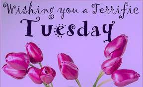 Have A Terrific Tuesday Loves Daily Reminder More Blessing And Less Stressing Amen H Single Mom Life Single Mom Inspirational Quotes Motivation