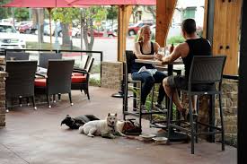 Our outdoor space is not very large, but there is usually space for customers and furry friends! Dining With The Dogs Pup Friendly Patios In Frisco