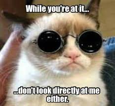 Are Cats Nocturnal Doescatscry Grumpy Cat Humor Grumpy Cat Happy Birthday Funny Cats