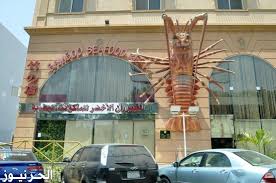 افضل مطاعم سمك في جدة