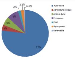 Energy Use Pattern In Nepal World Report Our Actions