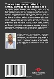 Amazon.com: The socio-economic effect of SMEs, Barraganete Banana Case:  Socio-economic development of the barraganete plantain in the canton of El  ...