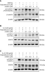 Generally, we recommend 50 grams of protein or more per day. 3. Effects Of 3 Dsc On Hair Growth Regulation Protein Expres Download Scientific Diagram