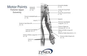 zmpczm016000 12 16 electrode placement protocol guidelines