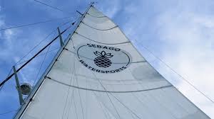 Image result for Selago barabei