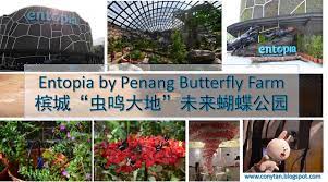cony in blogging entopia by penang butterfly farm 虫鸣大地 槟城蝴蝶公园 槟城旅游 penang farm vacation
