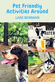 Pet Friendly Activities Around Lake Norman Pets Lake Norman North Carolina Pet Friendly