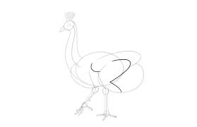 We did not find results for: How To Draw A Peacock