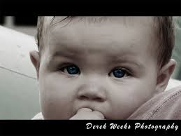 Derek Weeks Photography