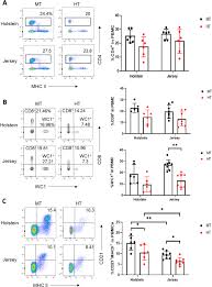 Je suis donc a la recherche d'un couple mobo + proc en amd64. Dynamic Changes In Blood Immune Cell Composition And Function In Holstein And Jersey Steers In Response To Heat Stress Springerlink