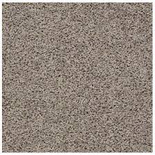 Bedroom 2 3 Carpet Shaw Simple Times Field Khaki Shaw Carpet Shaw Floors Shaw Floors Carpet