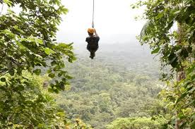 Canopy Zipline Eco Adventure Tour From San Jose Adventure Tours Ziplining Forest Adventure