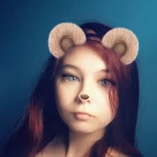 The 10 best windows cleaners in Waterlooville, Havant