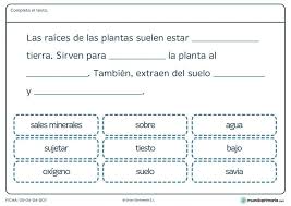 Ficha De Caracteristicas De Las Plantas Para Primaria Ciencias Naturales Tiempo Atmosferico Fichas