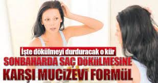 Sonbaharda Sac Dokulmesine Karsi Isirgan Ve Lavantali Kur Saglik Haberleri