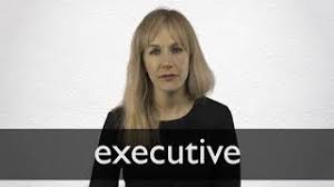 Executive Definition And Meaning Collins English Dictionary