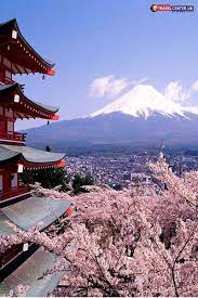 Fly To Tokyo Japan Mt Fuji Japan Flightstotokyo Flightstojapan Mountfiji Visitjapan Visitfiji Che Monte Fuji Fotografia De Paisagem Viagem Ao Japao