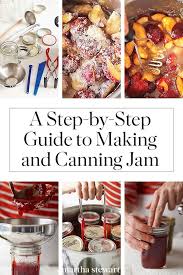 How To Can And Make Jam Plum Jam Recipes Jam Recipes Healthy Jam Recipe