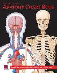 Anatomy Chart Book Prime Anatomy Chart Book Spub27