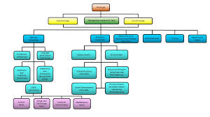 School Organization Charts Kozen Jasonkellyphoto Co