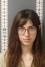 Harrisburg woman accused of stealing Pelosi's computer placed