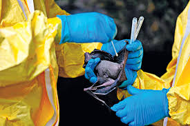 友情提示：本版所有作品，请自行查毒、杀毒，虽然我们会对精品区的作品进行审查，但不排除可能存在漏网之鱼。 欢迎大家举报违规帖子，对发布病毒、广告、色情等违规贴，一律ban id处理 。 同时请大家注意，不要因为自己的疏忽而把责任归咎于版主，对因此攻击版主的做扣分处理。 Rvhjazzqr3xfvm