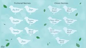 Some of these might catch your eye: Names For Pet Birds