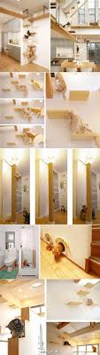for cat house インテリア 収納 インテリア エクステリア 家