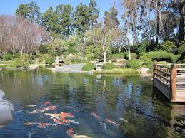 Earl Burns Miller Japanese Garden Long Beach Ca Los Angeles Parks Japanese Garden Water Features