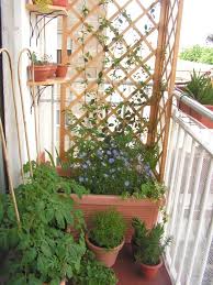 Windschutz Fur Den Balkon Welche Moglichkeiten Bieten Sich An Windschutz Balkon Kleiner Balkon Garten Terrassen Schatten